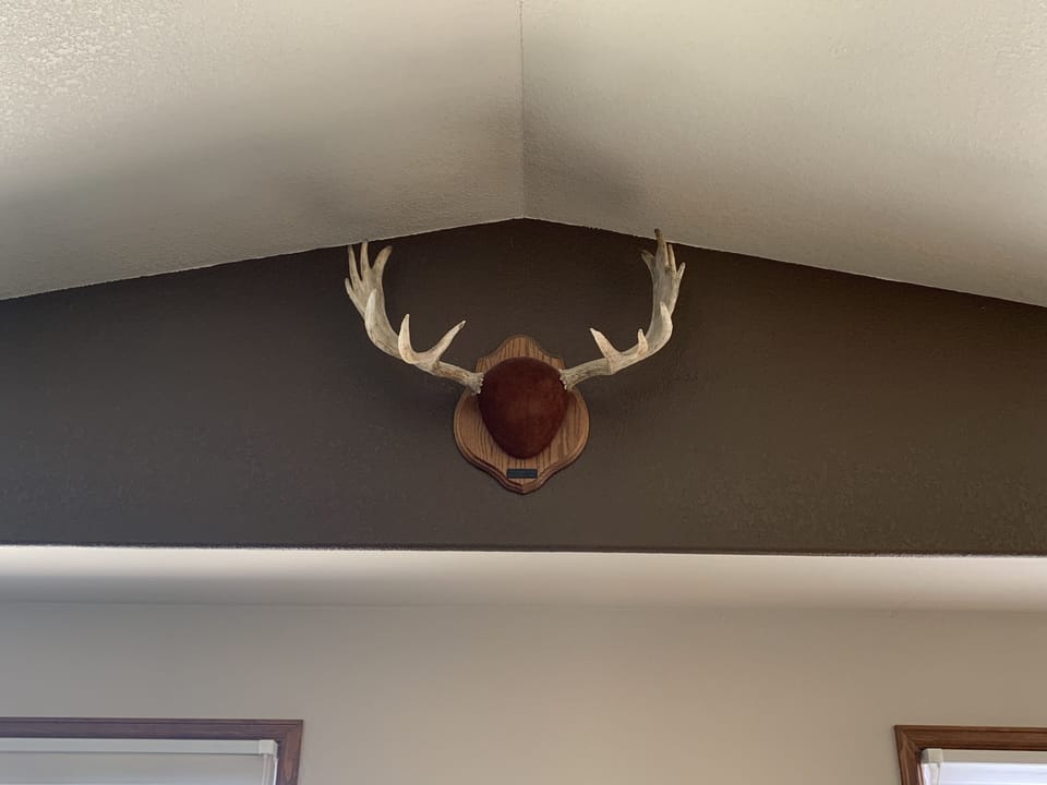 What's a Colorado home without moose antlers?