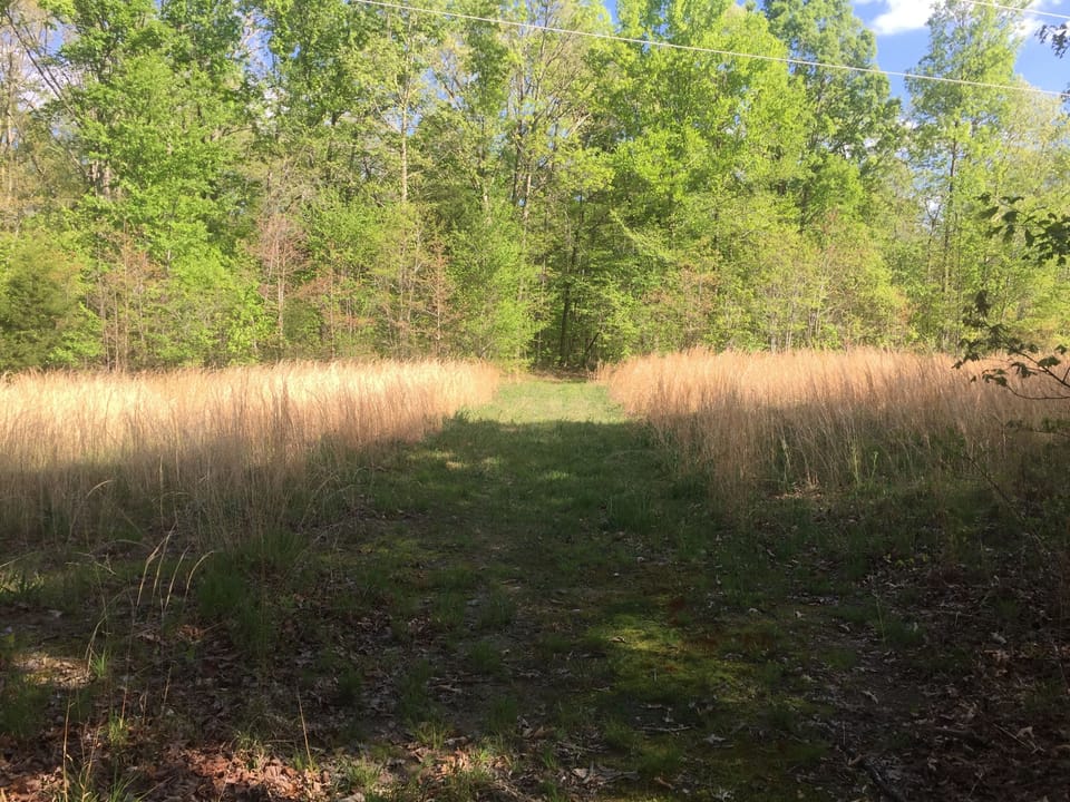 One of the trails on the property. 