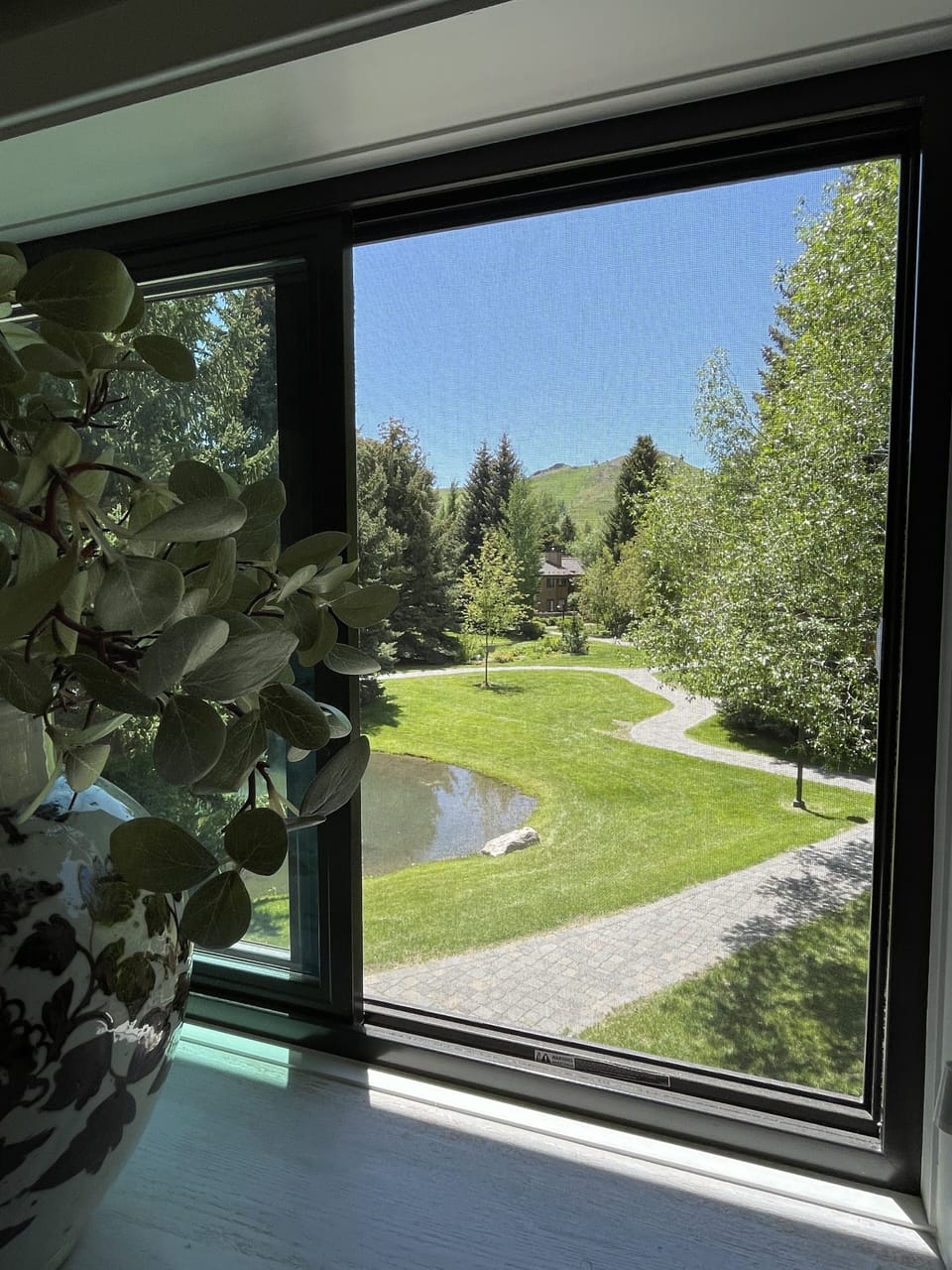 Views from primary bedroom overlooking the pond!  