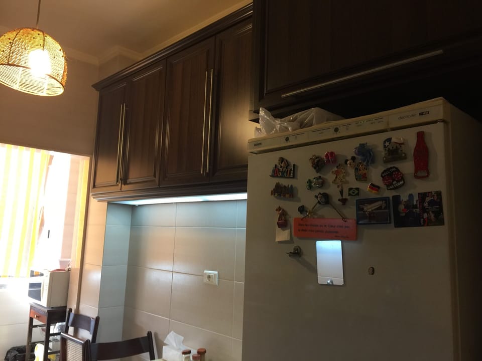 Kitchen: fridge and microwave