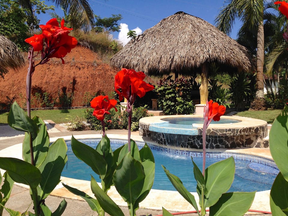 CIELO AZUL: GARDEN AND POOL