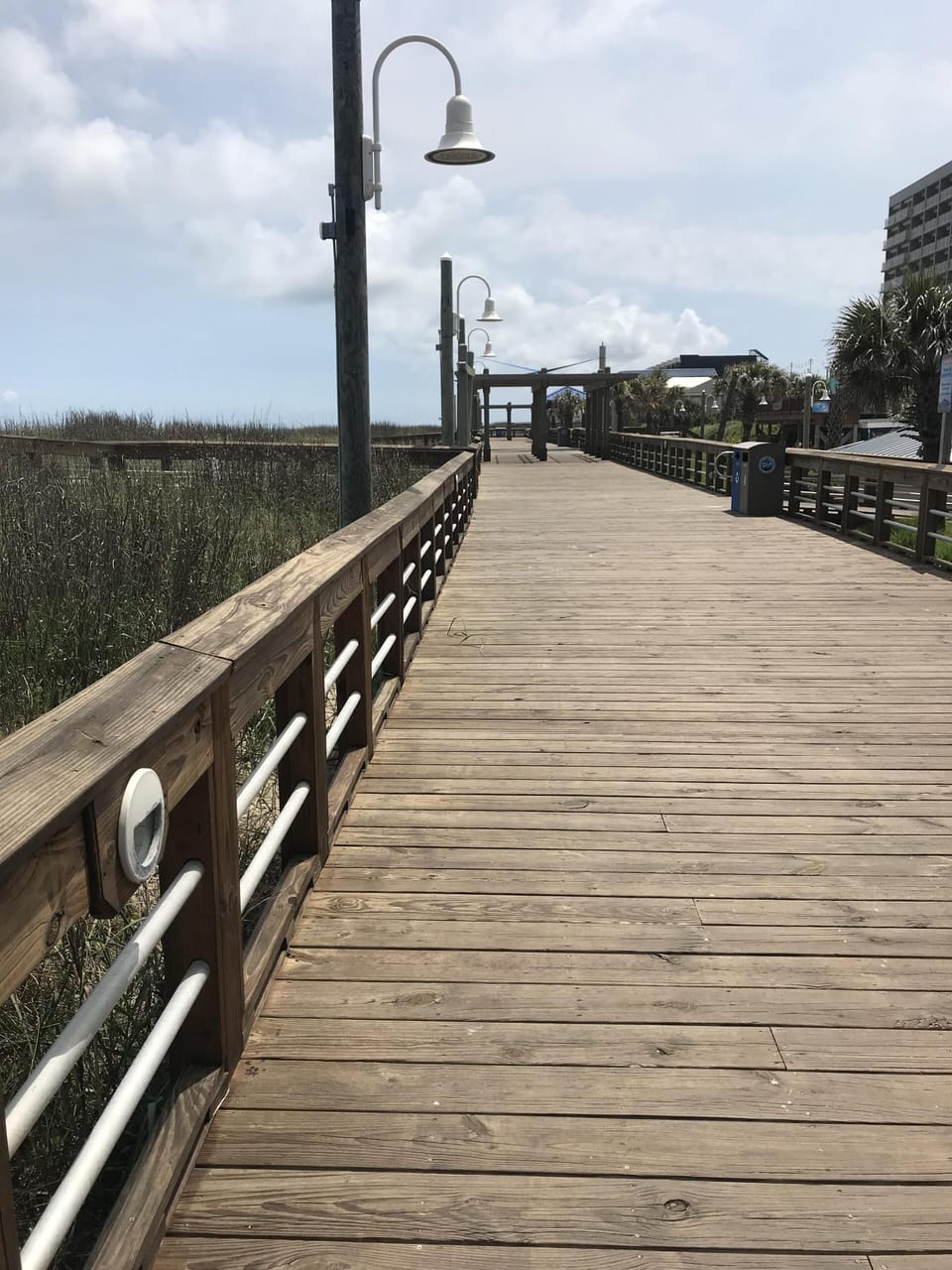 Carolina Boardwalk