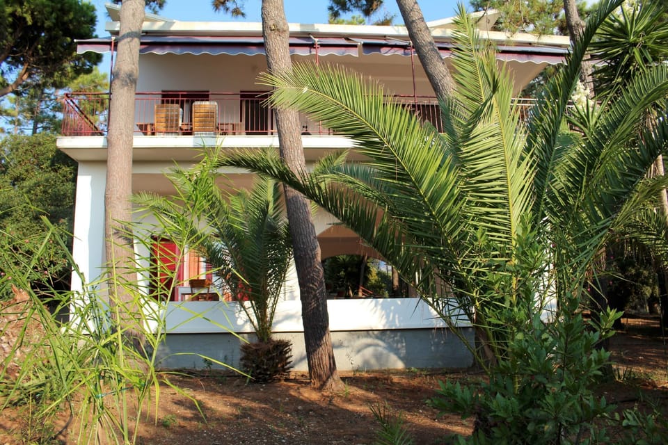 Main view