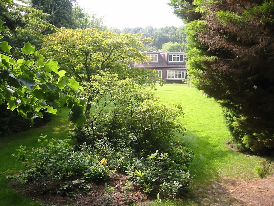 View down to the house from the end of the rear garden.