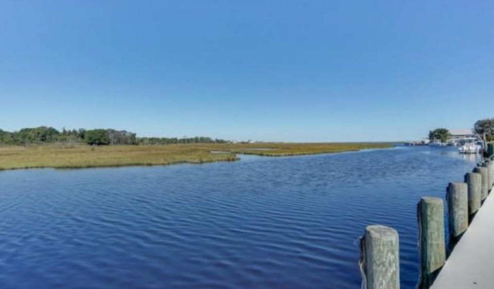 Backyeard view