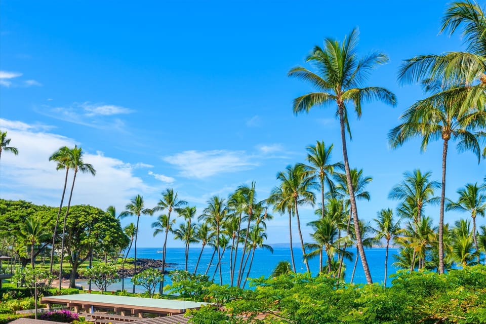 Full ocean views from Amore Aloha 813.