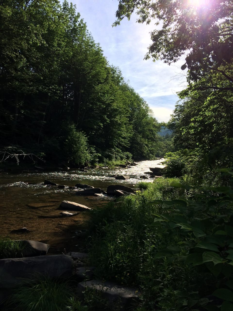 Our Esopus Creek frontage 