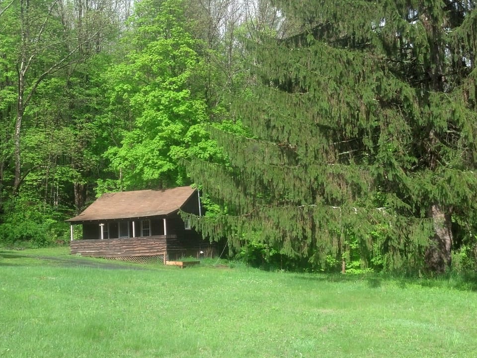 The cabin in spring