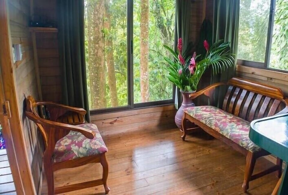 Jungle views