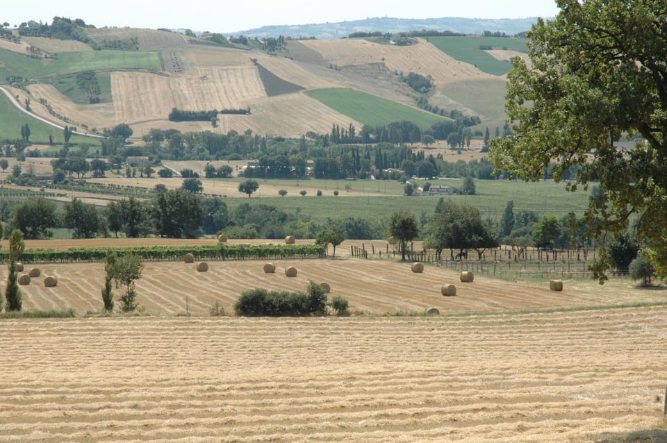 Cozy holiday home in San Lorenzo in Campo House in Marche
