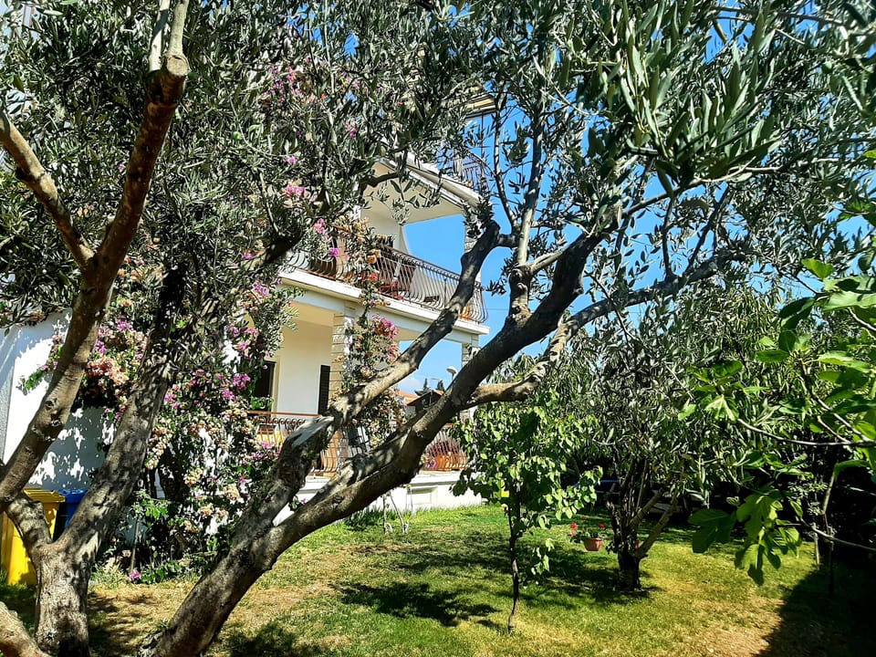 Garden area