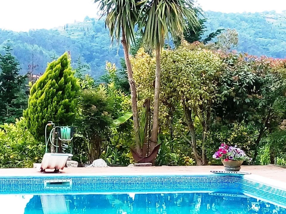 The Pool