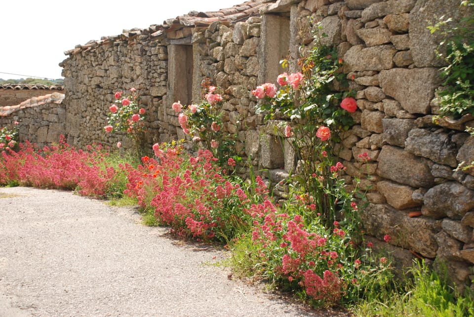 Aldeia