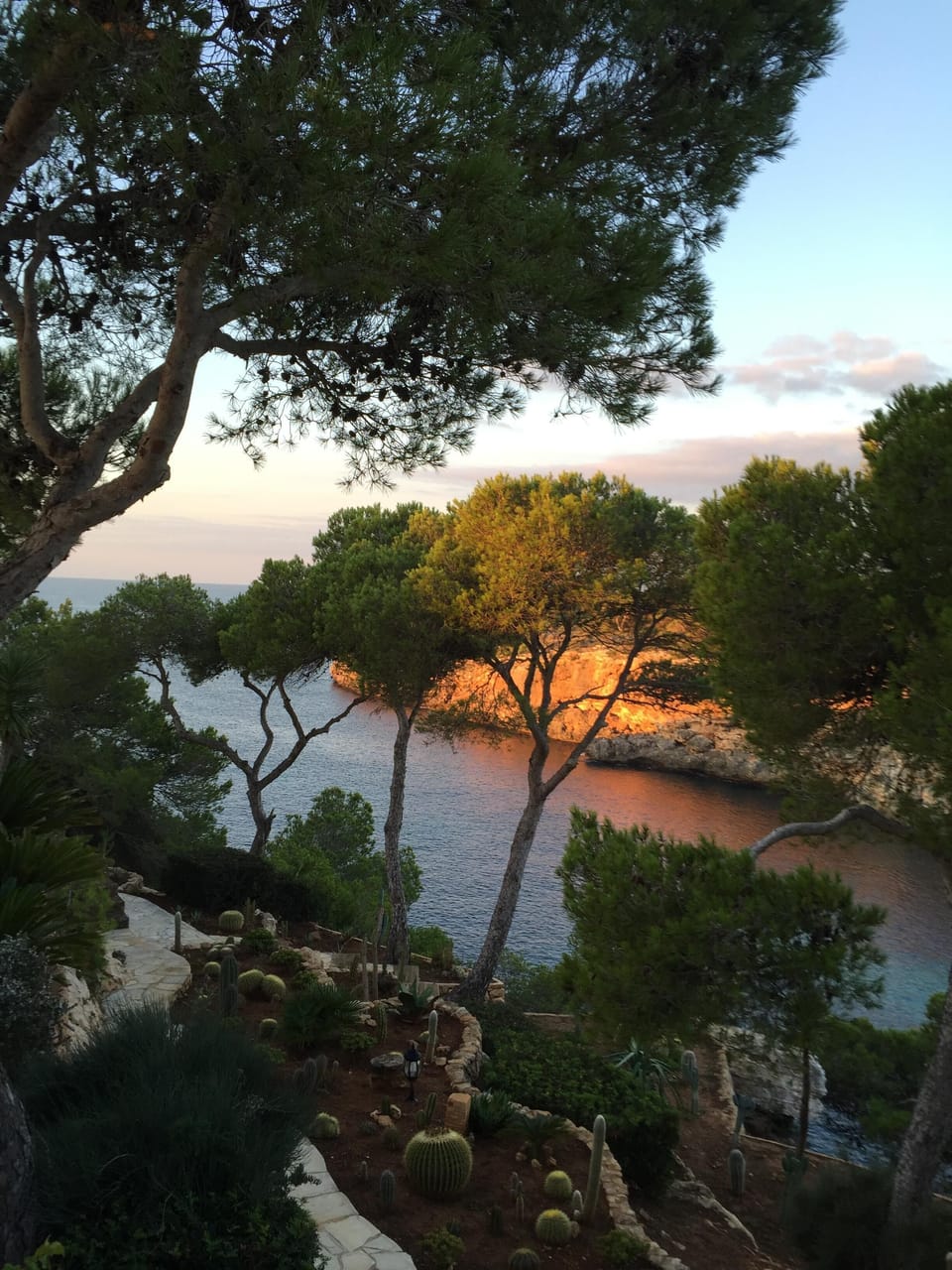 View from property