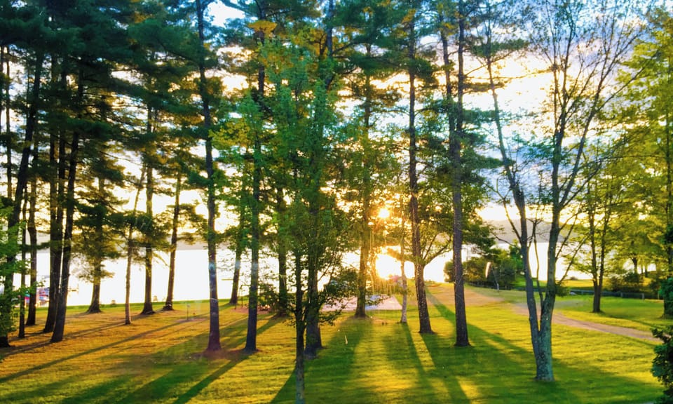 Sunrise view from second floor.