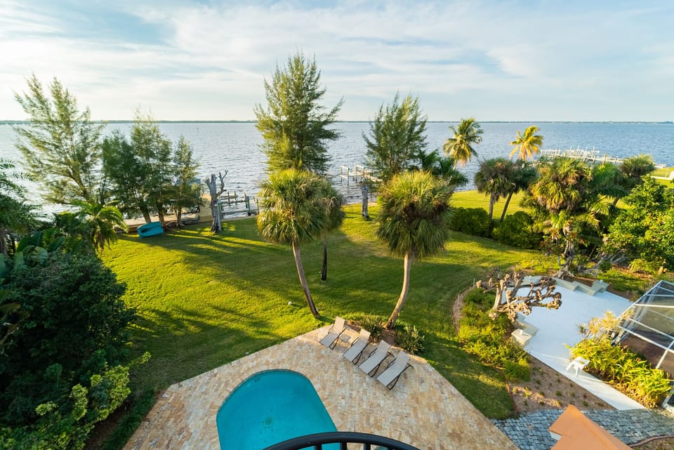 View from the rooftop garden