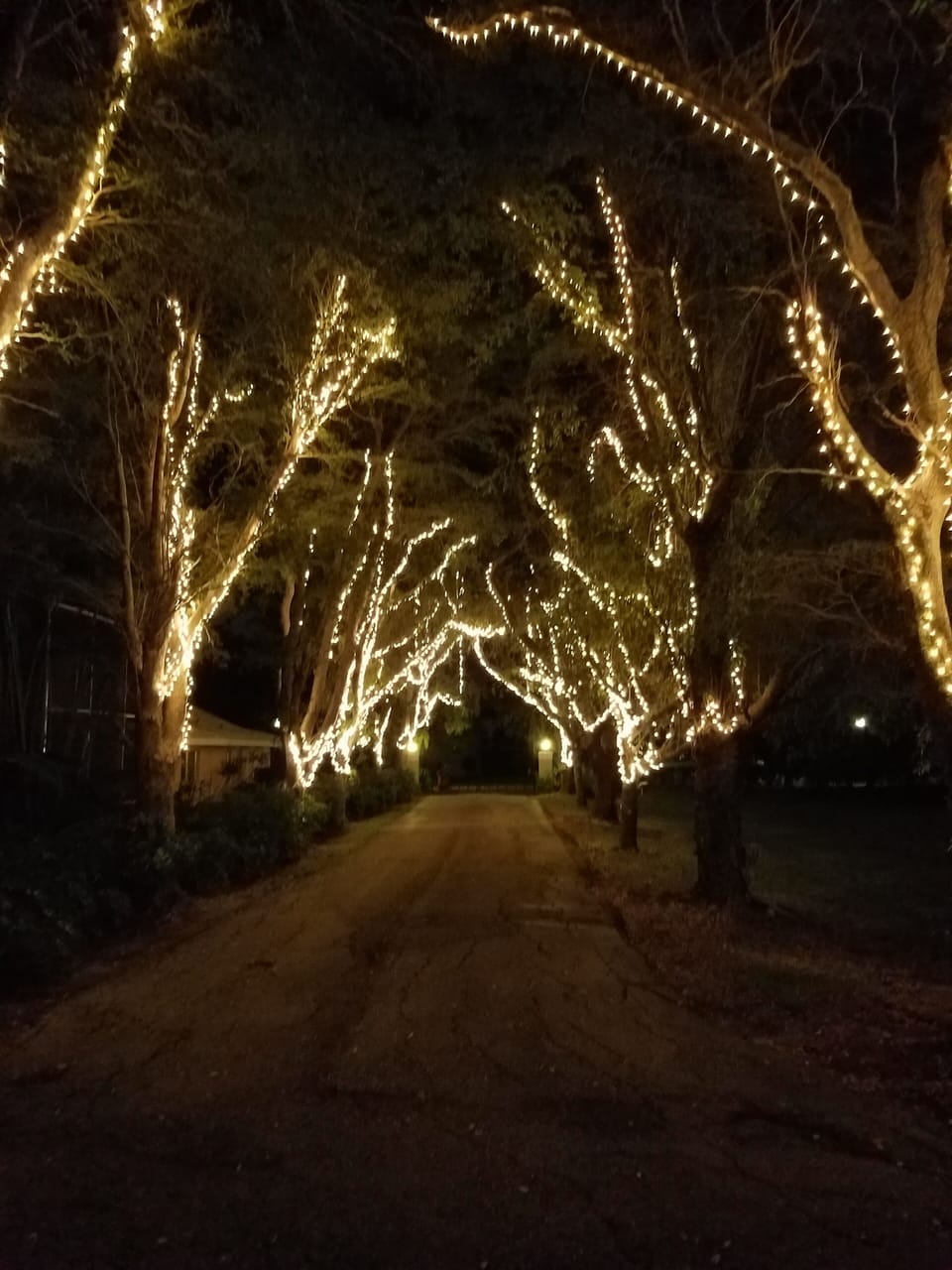 Driveway at night