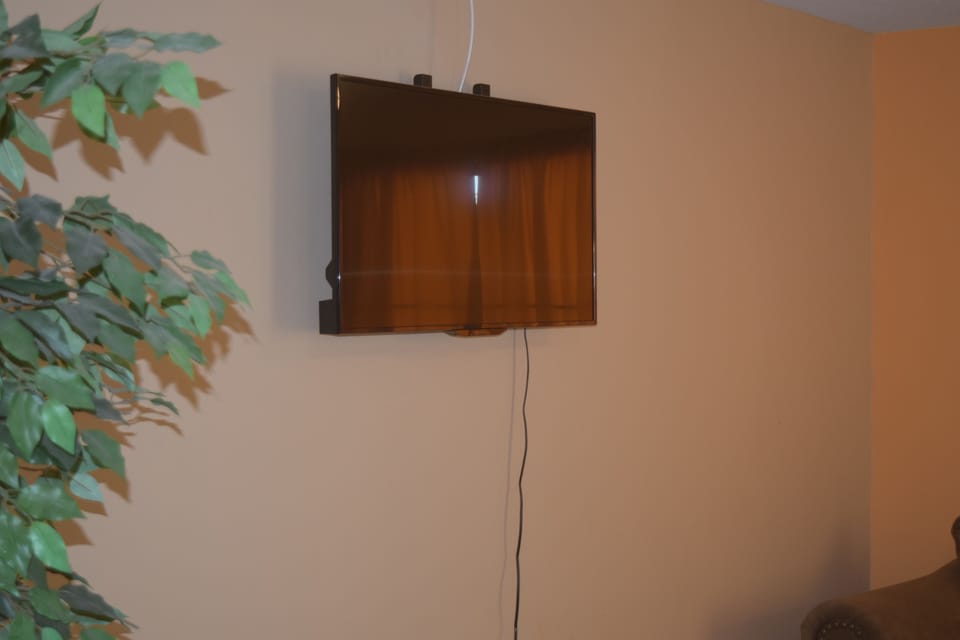 Television