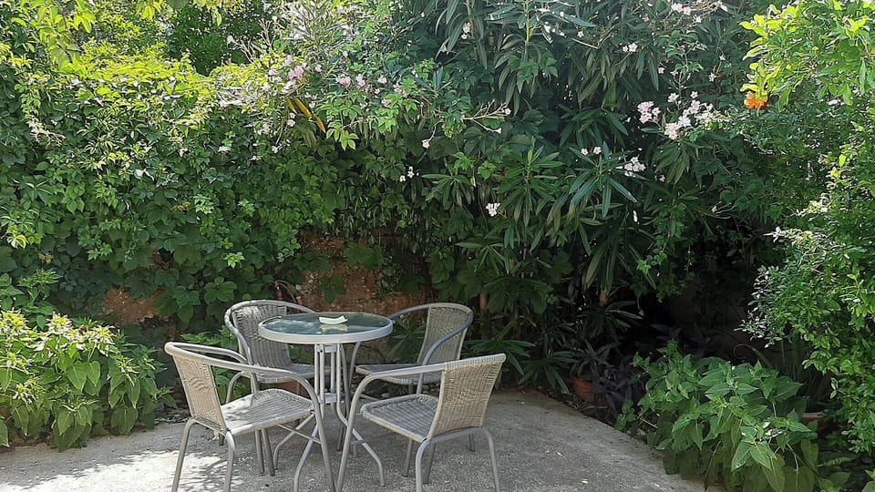 The garden behind the apartment