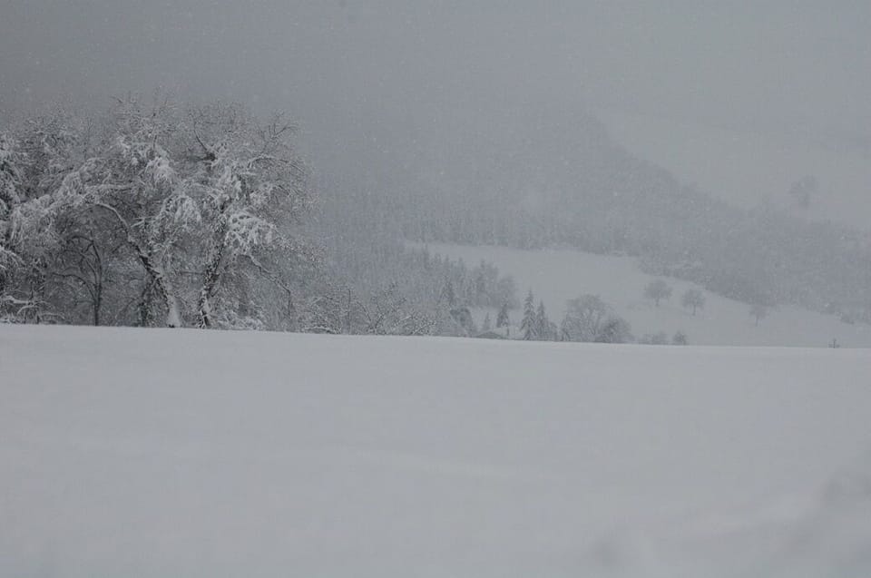 Snow and ski sports