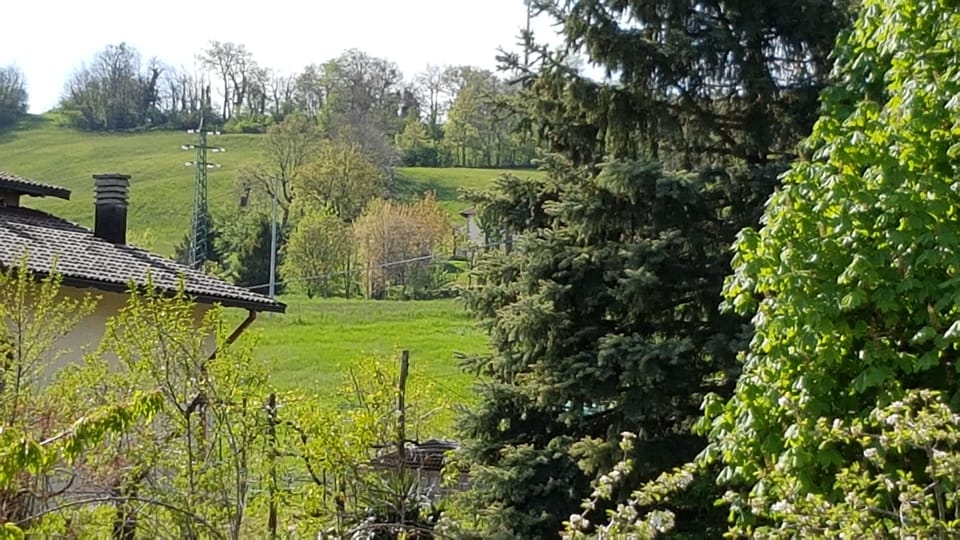 View from the window in Vecchi Room