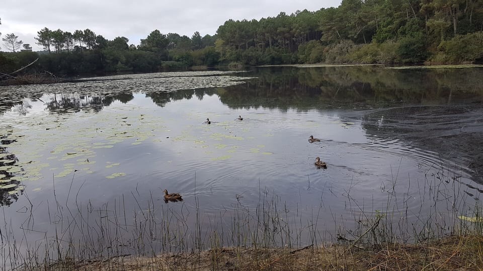 Lake