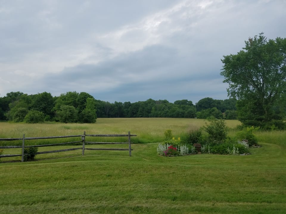 View from the back deck!