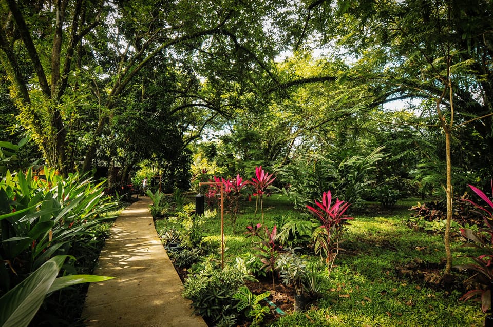 garden