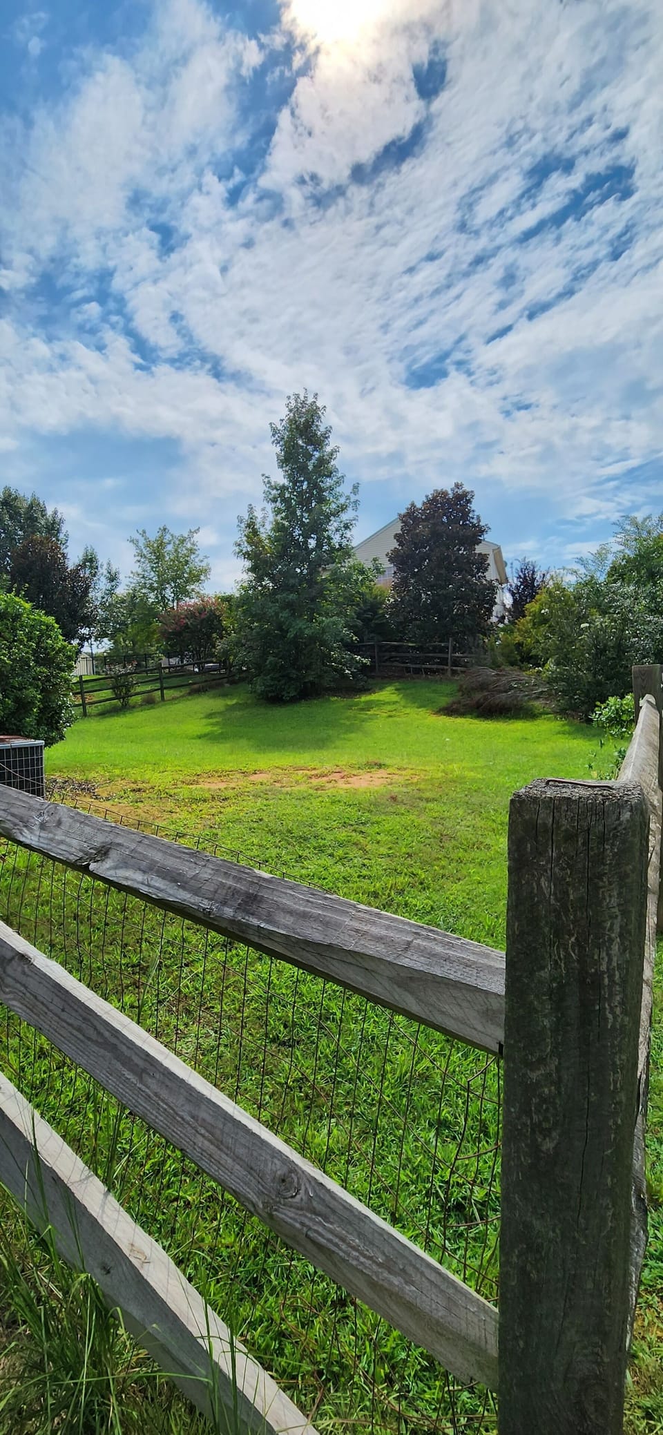 Back Yard