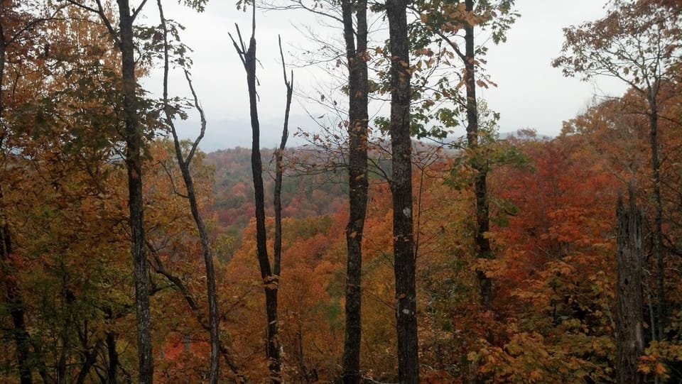 Oranges, reds, yellows, greens everywhere.  Gorgeous!