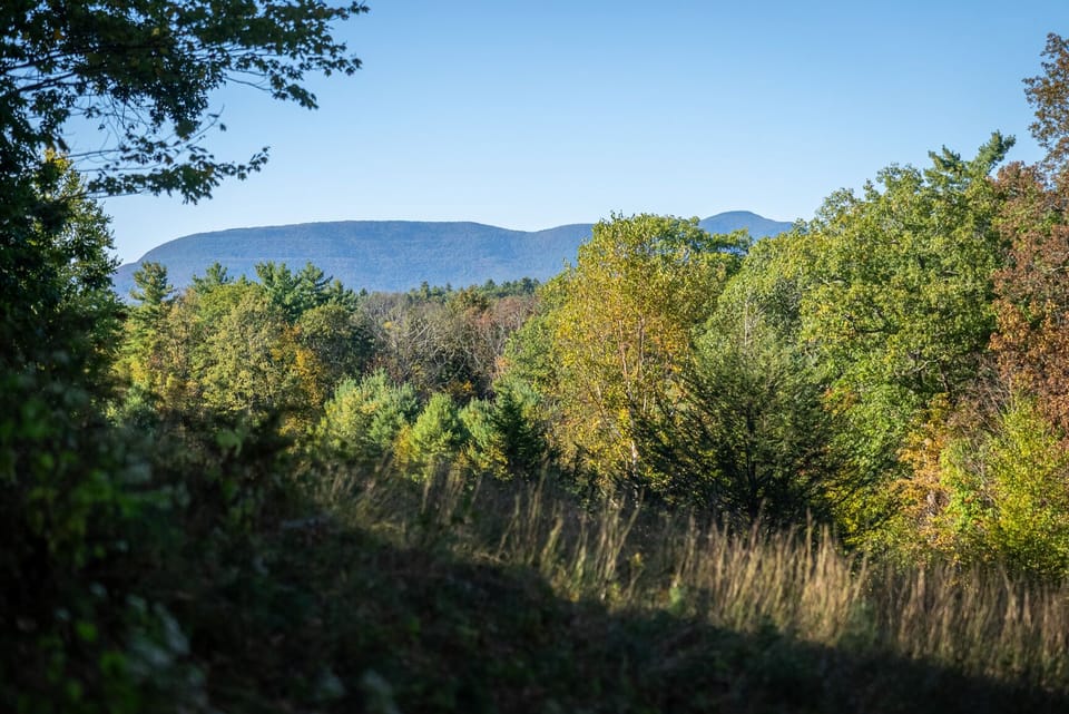 Views of the Catskill Mountains from the property