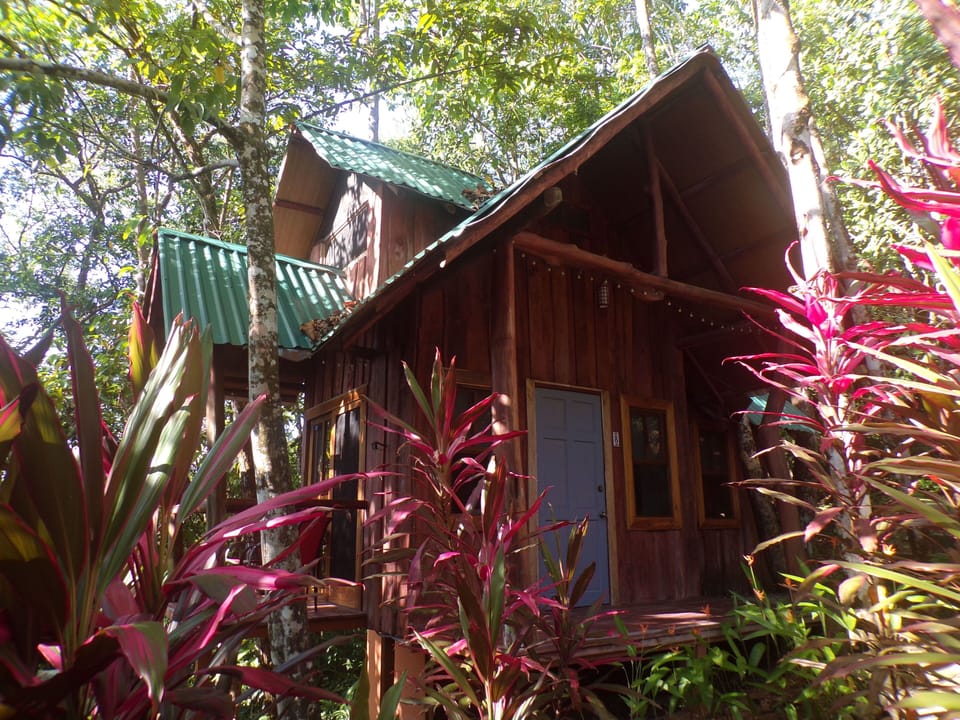 Front corner view of the Uvita Tree House.