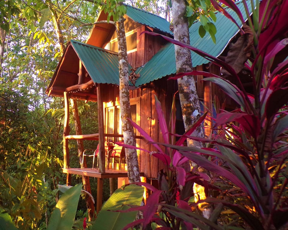The Uvita Tree House is tucked away in the jungle.