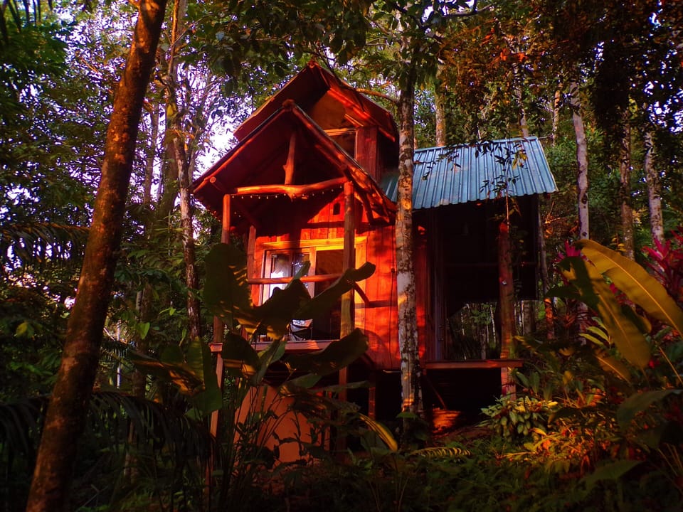 The Uvita Tree House at PurUvita.