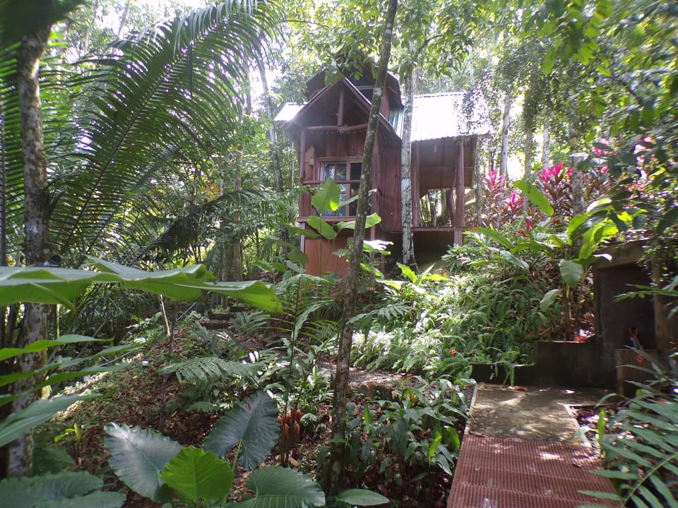 A bridge connects the Central Villa to a trail that leads to the Tree House.