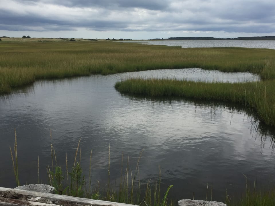 Come visit this beautiful island! Photo taken in Menemsha.