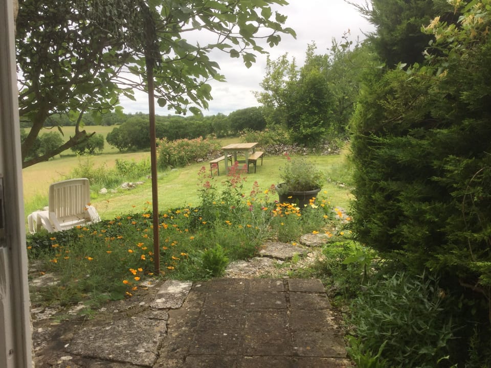 Gite garden with fig tree