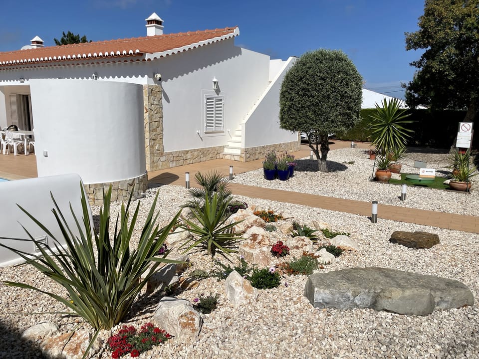 Garden with rockery, flower pots, olive, oak tree and steps to roof terrace 