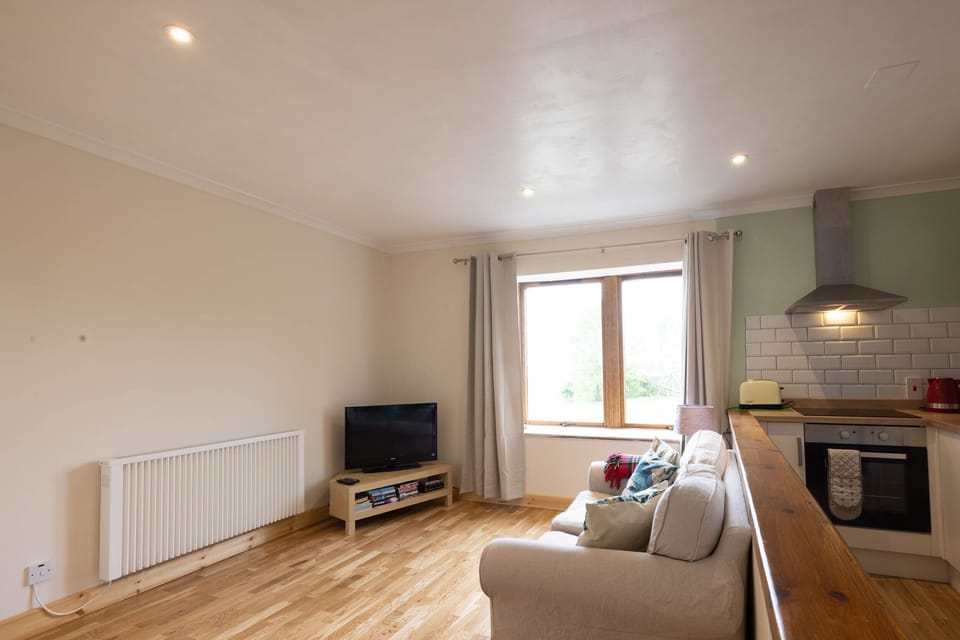 Large open plan living / dining / kitchen area.