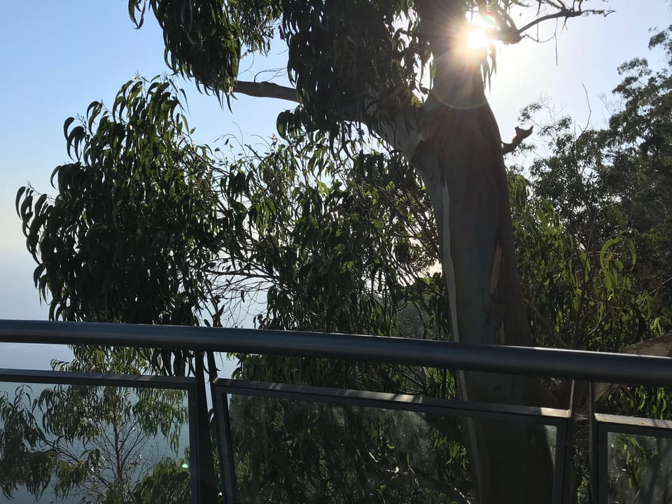 View from property