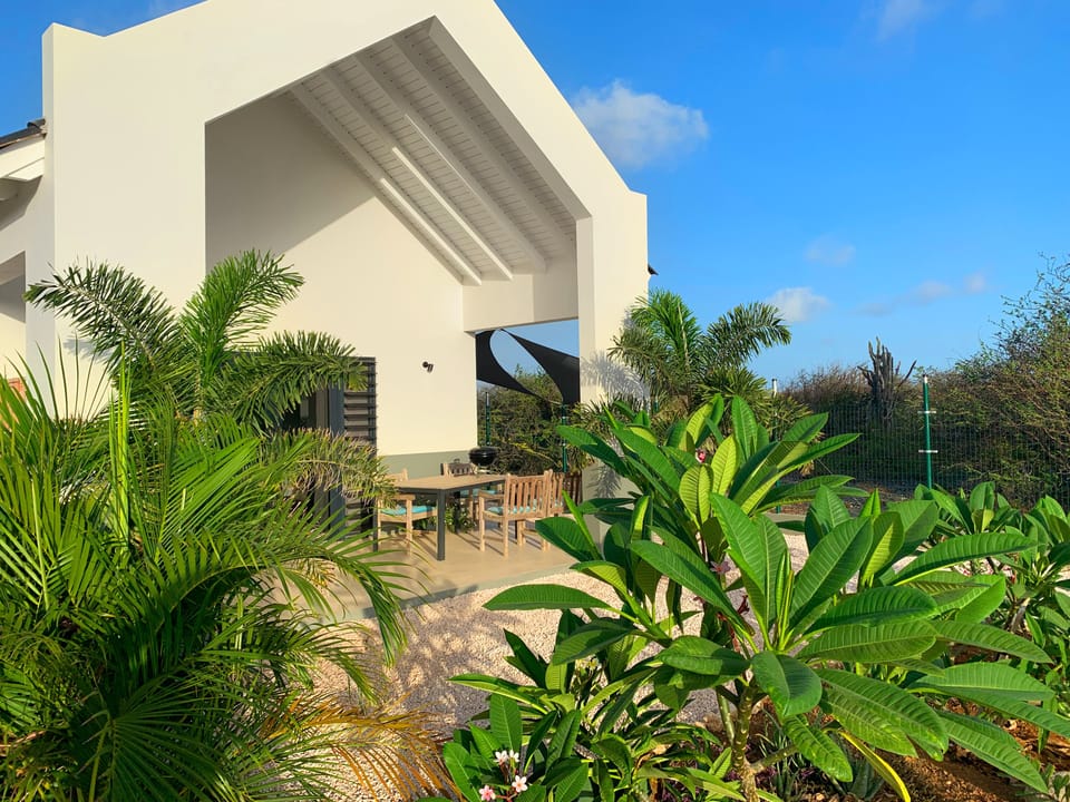 front view, lush tropical garden with lots of birds and other local wildlife.