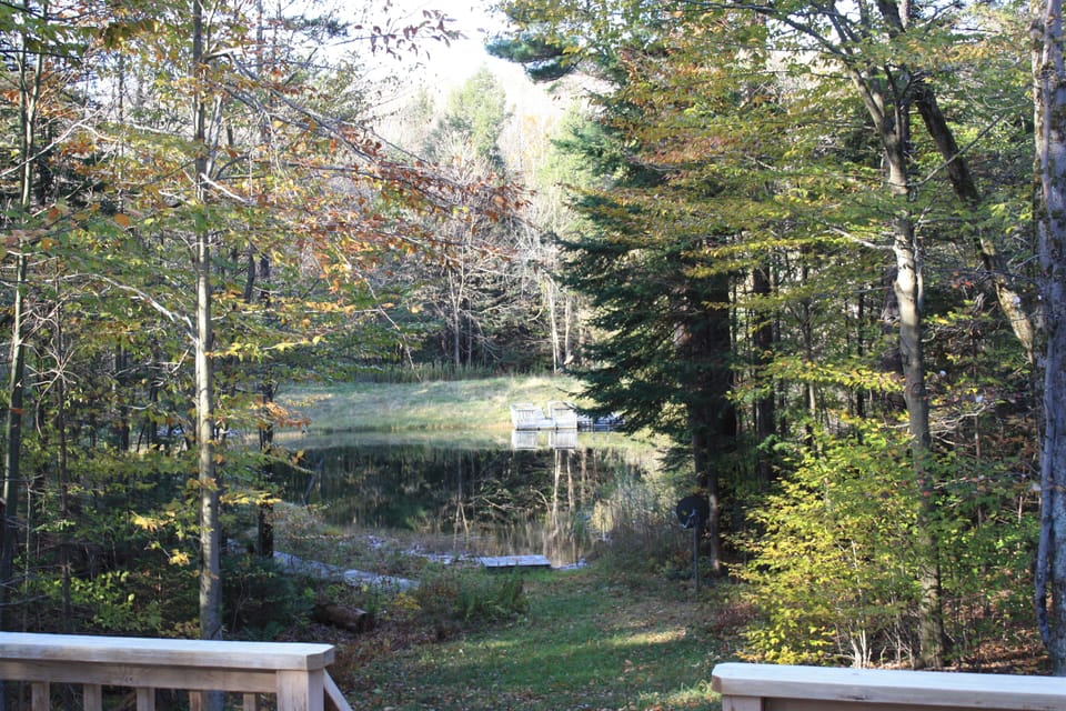 Pond view from the deck