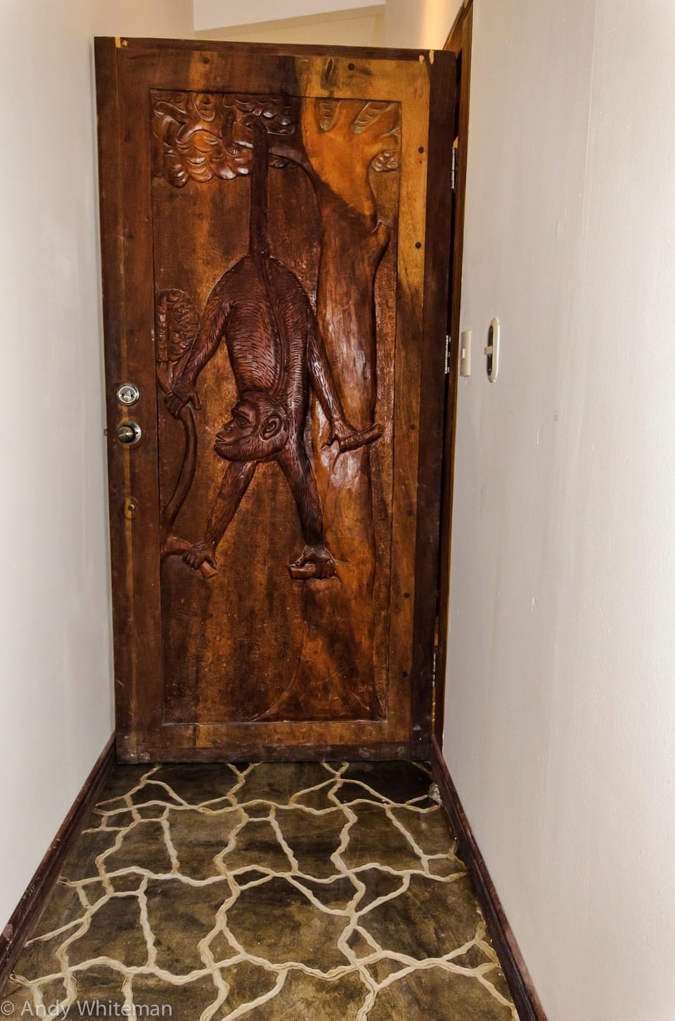 Front Door of the Apartment
