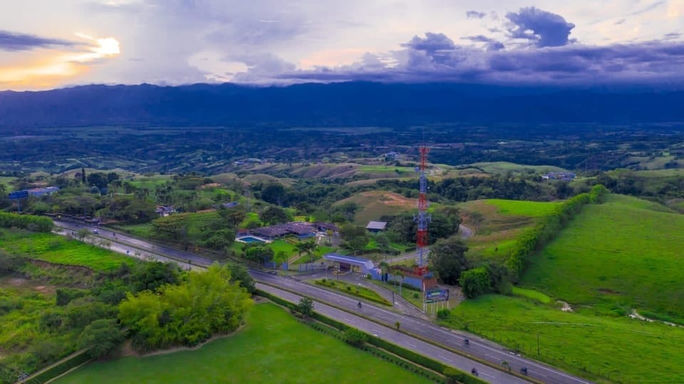 Aerial view