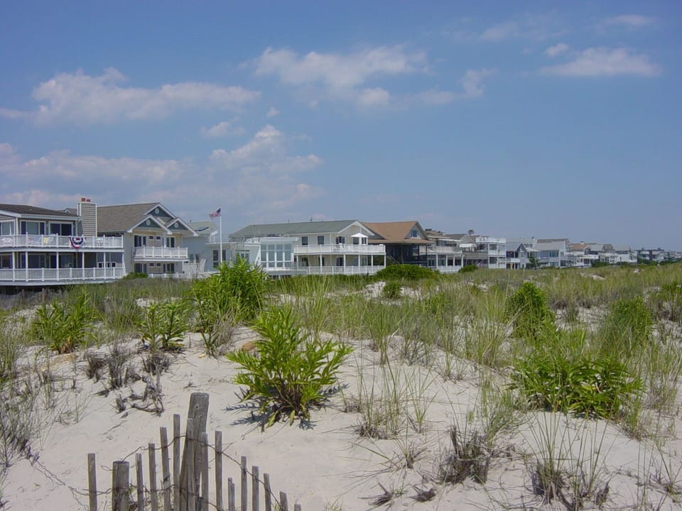dunes