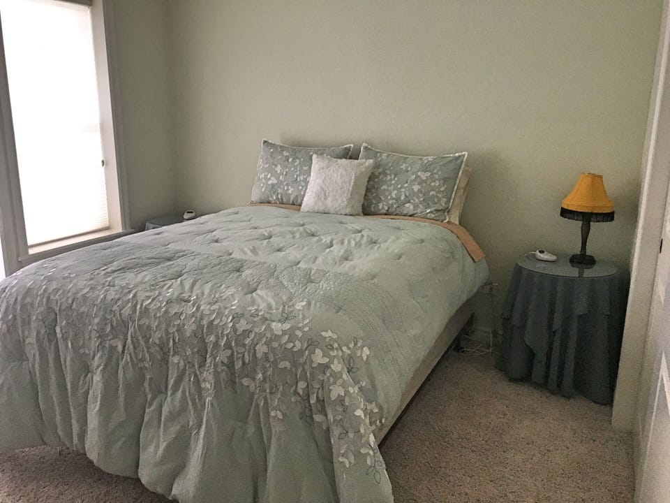 Queen bedroom on lower level; door to the patio/back yard