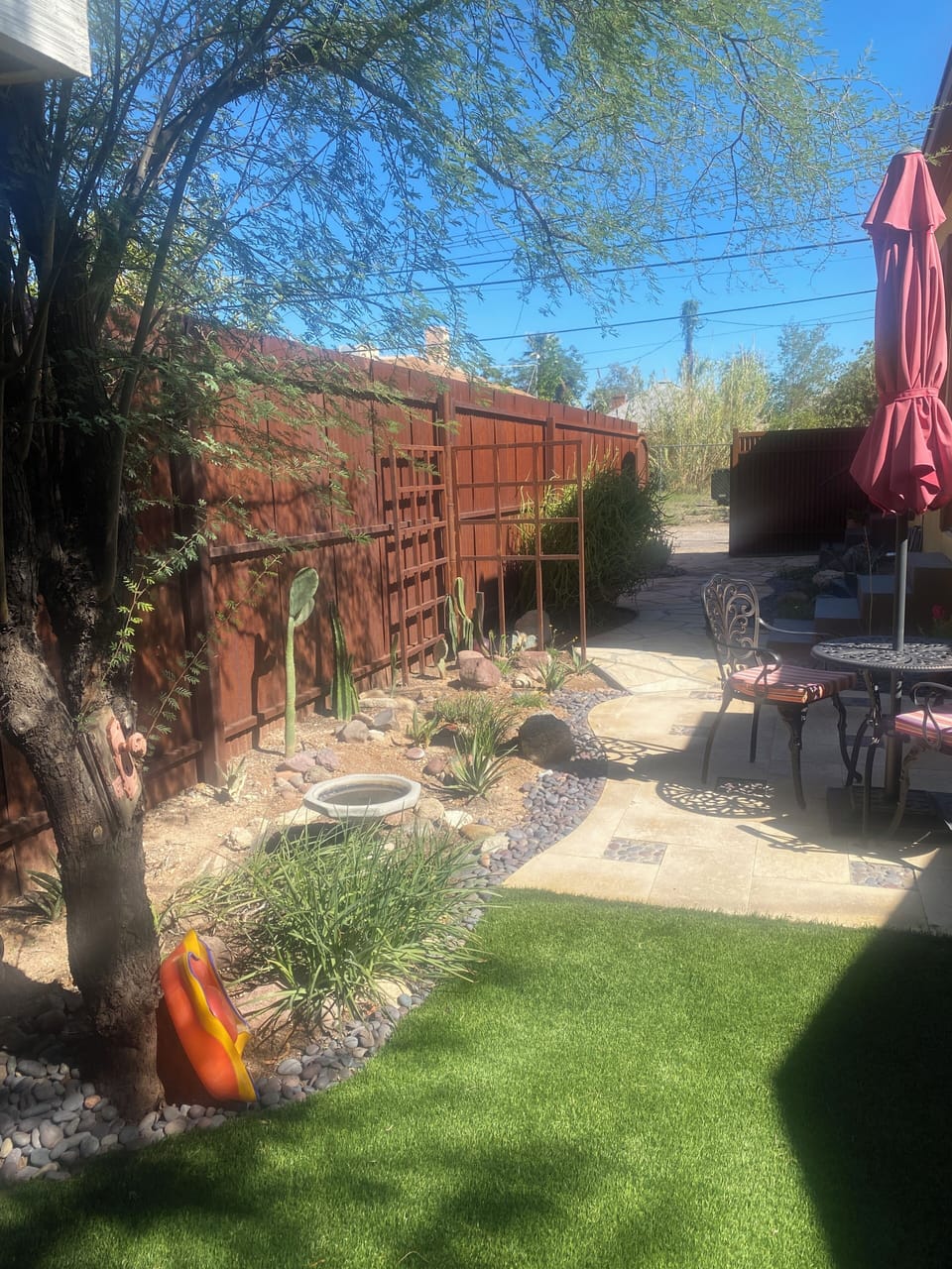 Desert landscaping