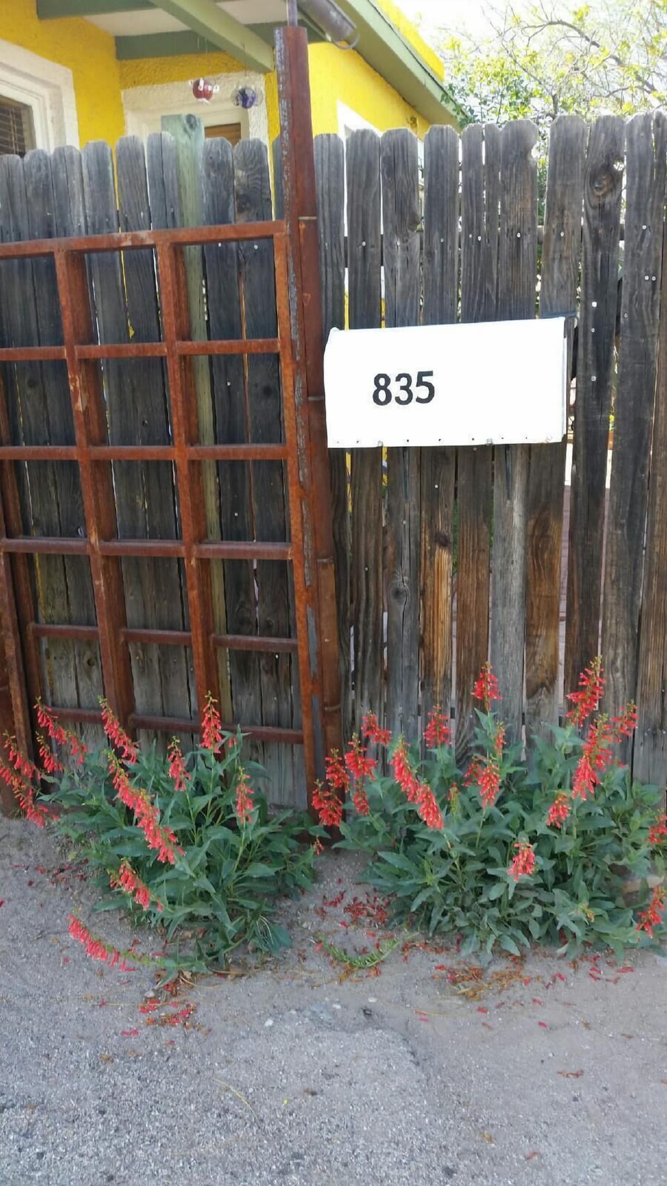 Front gate area, native penstamen