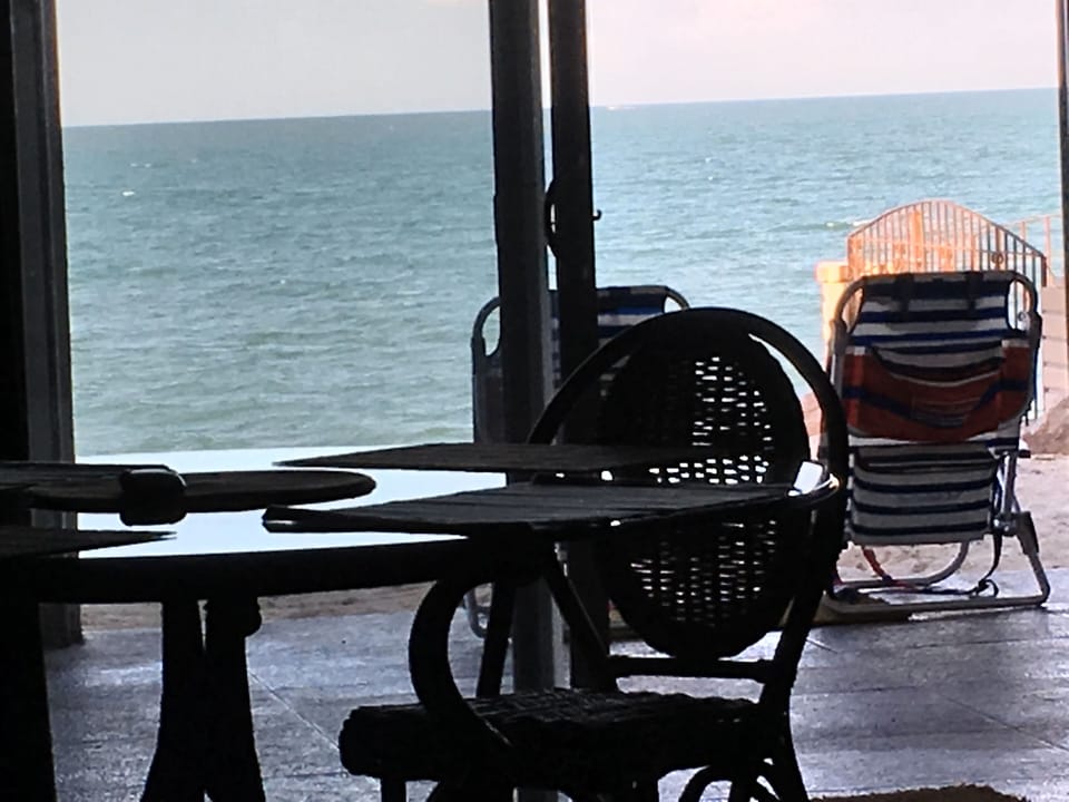view from dining
