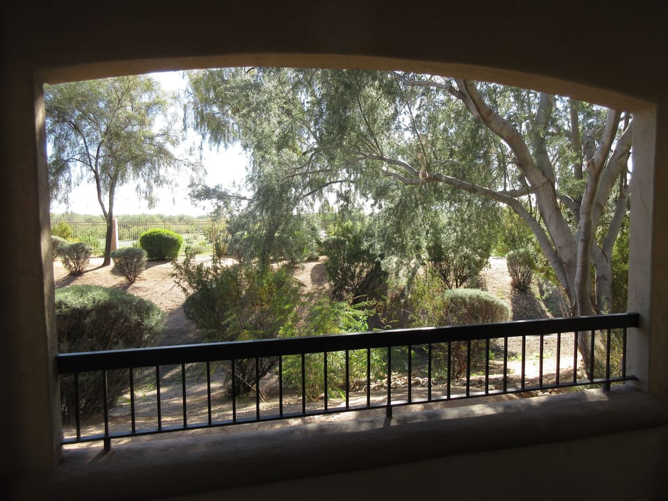 South facing view